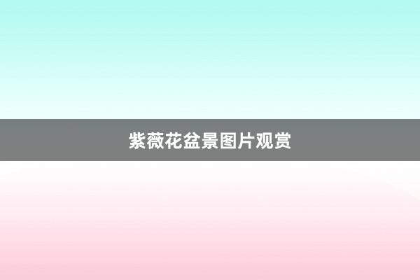 紫薇花盆景图片观赏