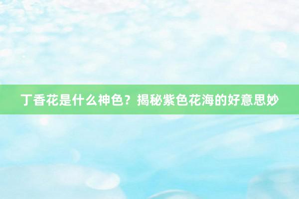 丁香花是什么神色？揭秘紫色花海的好意思妙