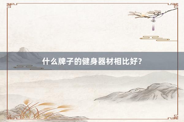 什么牌子的健身器材相比好？